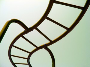 Discover The Golden Ladder within You from Amandah Tayler Blackwell.